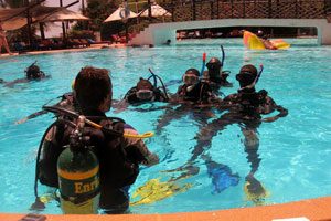 cheapest diving internship in Kenya