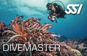 SSI Divemaster Card