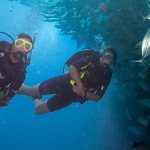 special offer learn to dive Kenya