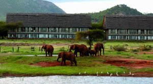 Voi Wildlife Lodge