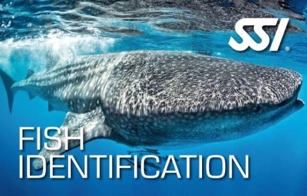 SSI Fish Identification specialty card