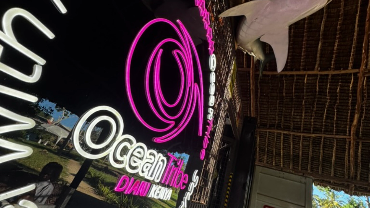 Ocean Tribe dive centre neon sign