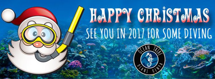 Happy Christmas from Ocean Tribe