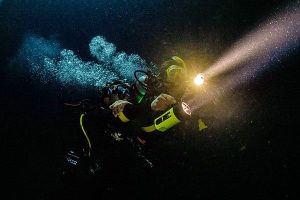 padi specialty diver courses