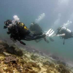 padi open water diver course divers