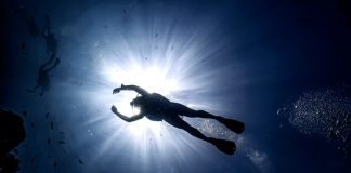 What is my SSI Instructor / Divemaster Qualification Worth after I finish? SSI pro ratings