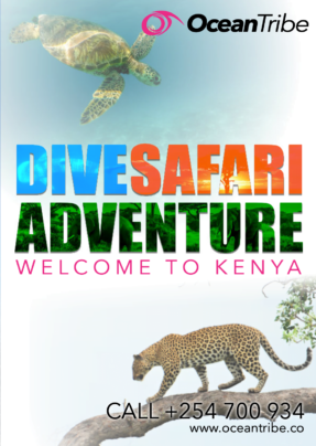 Dive and Safari packages in Kenya