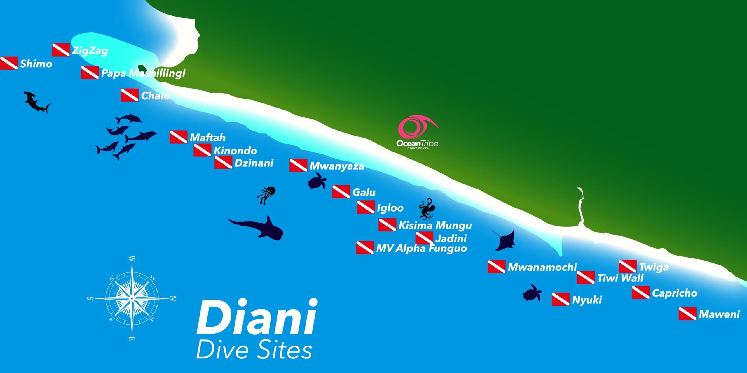 Diani dive trip dive sites