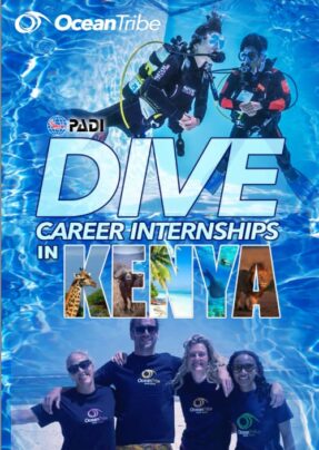 dive career internships in Kenya