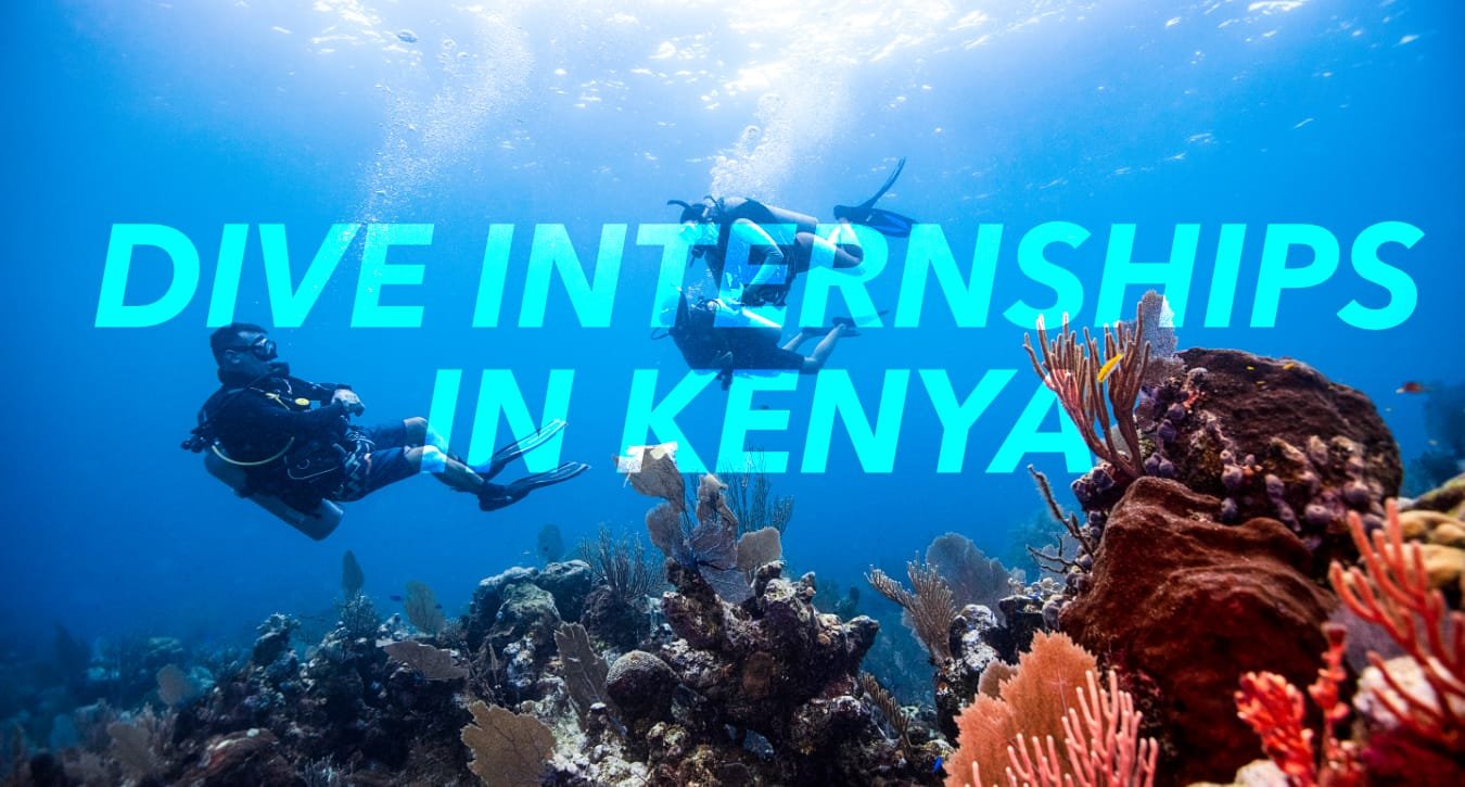 Dive Instructor and Divemaster Internships for GAP Year, Career Breaks and Career Changes Dive Internships in Kenya