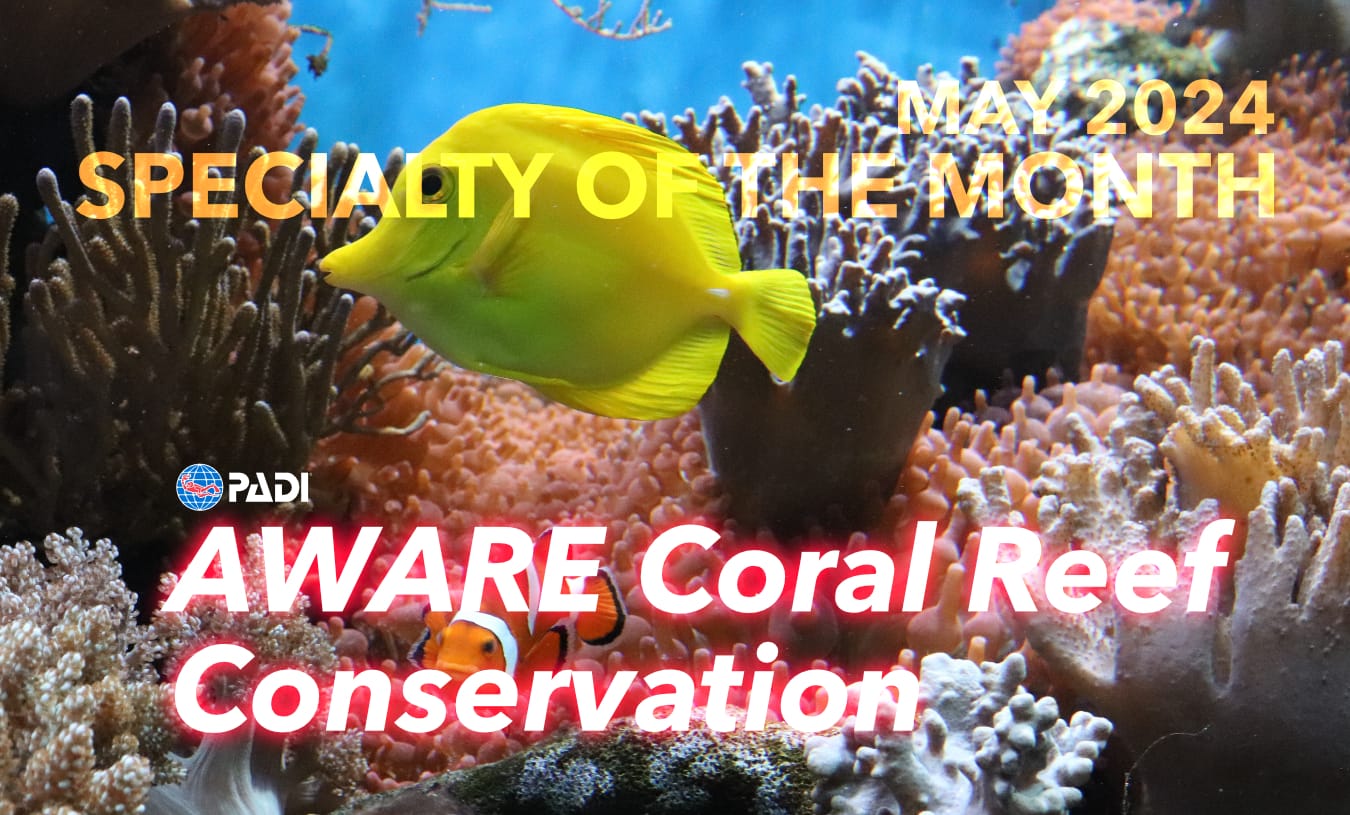 AWARE Coral Reef Conservation