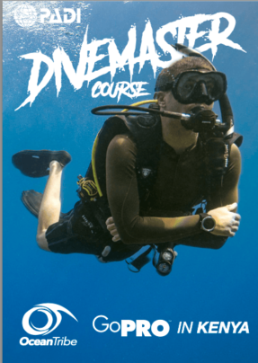 Divemaster course brochure