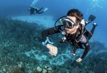 The Benefits of Choosing SSI’s ITC choose SSI ITC