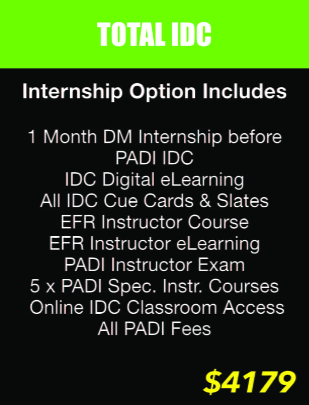 total idc internship