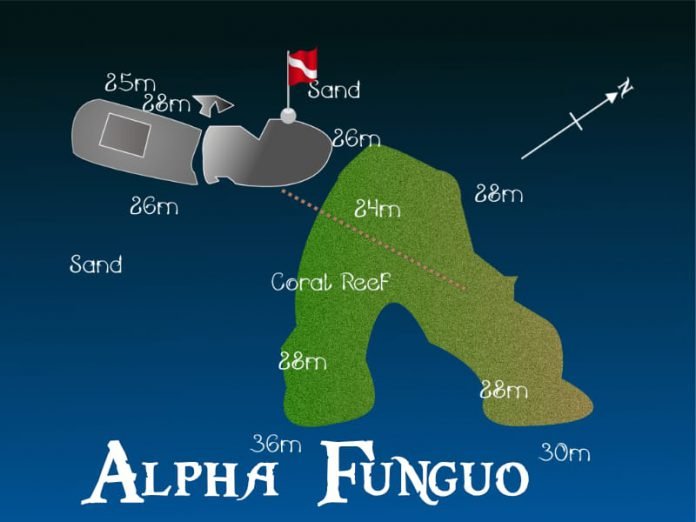 Dive profile map of the MV Alpha Funguo wreck