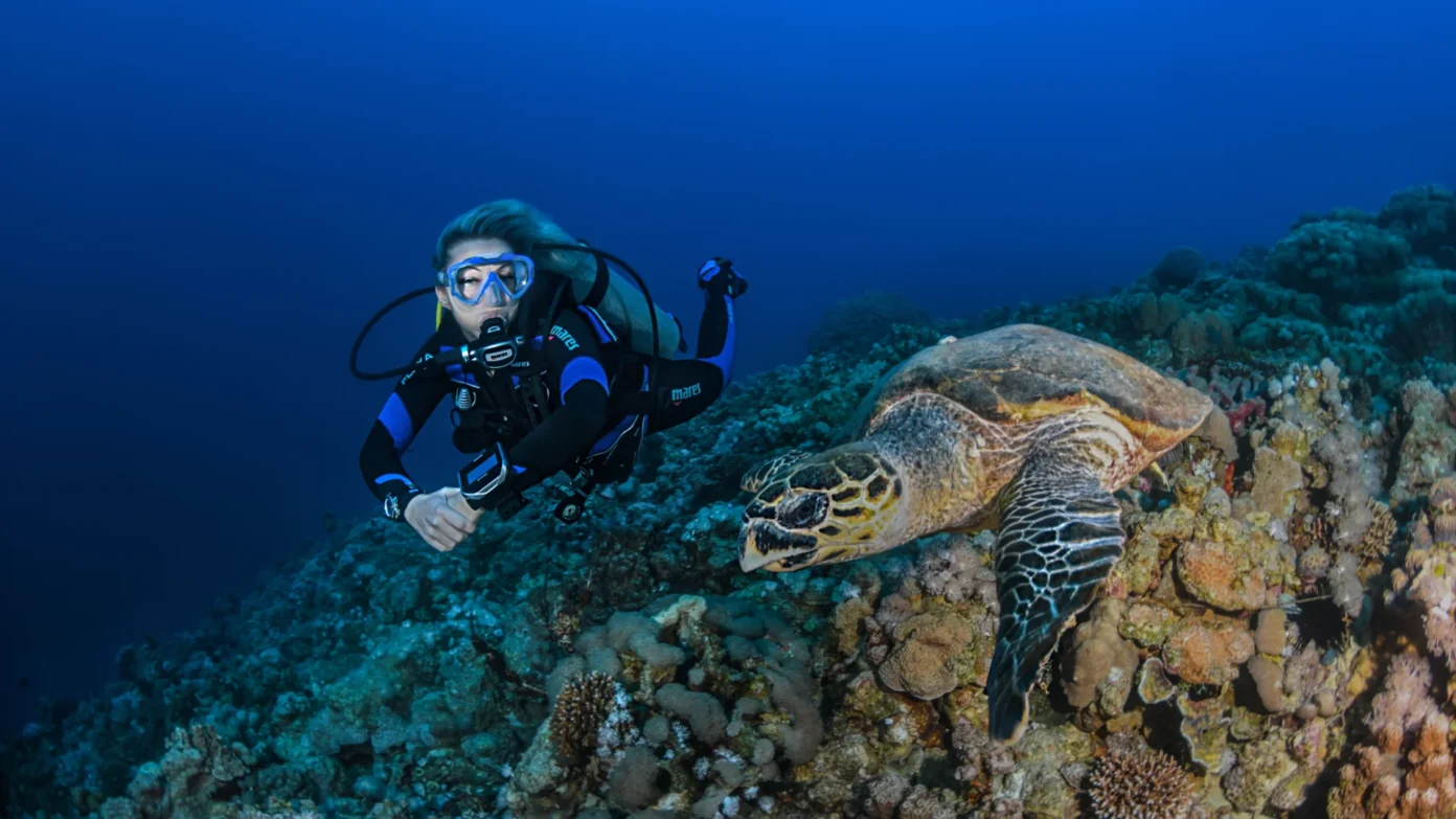 Diani scuba dive trip