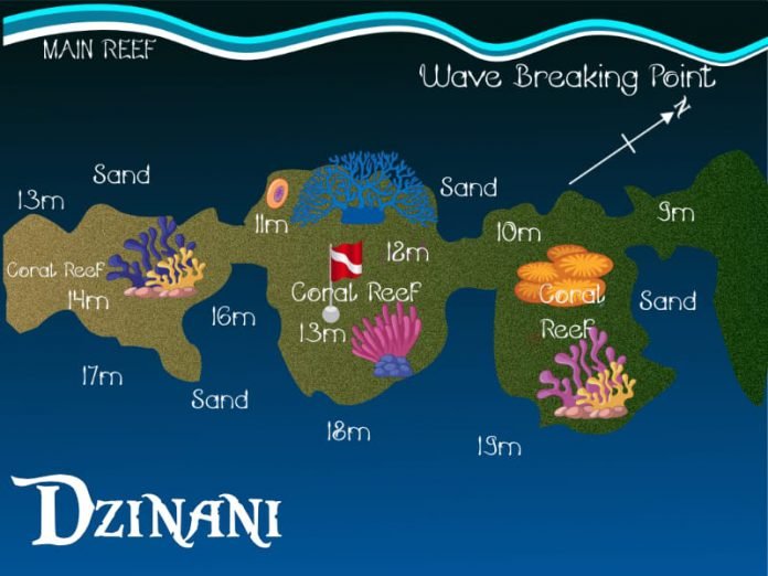 Dive profile map of Dzinani reef