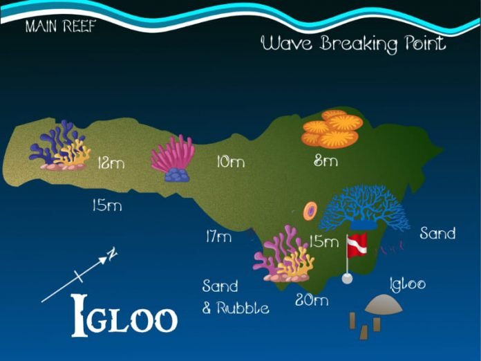 Dive profile map of Igloo reef