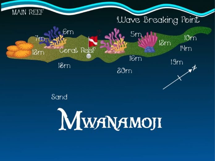 Dive profile map of Mwanamoji reef