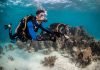 Divemaster Course Divemaster Course