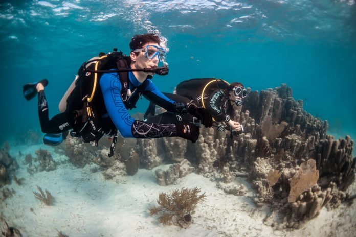 Divemaster Course