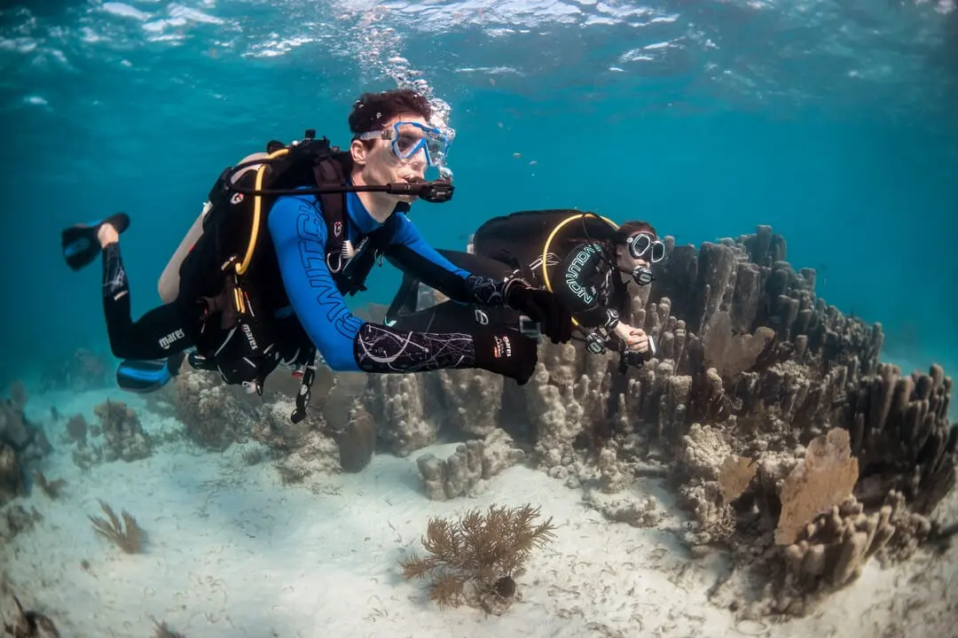 SSI Divemaster course