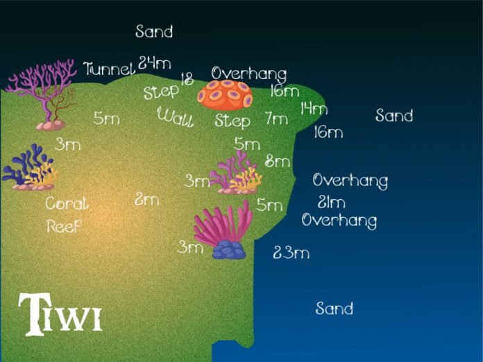 Dive profile map of Tiwi Wall
