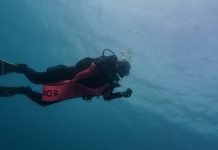 Do You Really Need an Advanced Diving Certification?