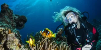 Open Water Diver Course Learn to dive in Kenya