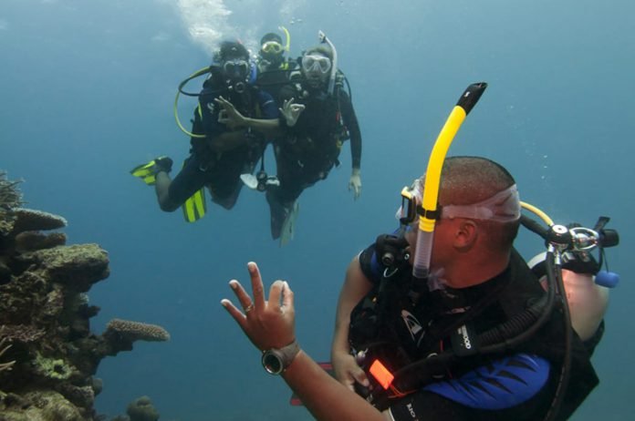 Divemaster course