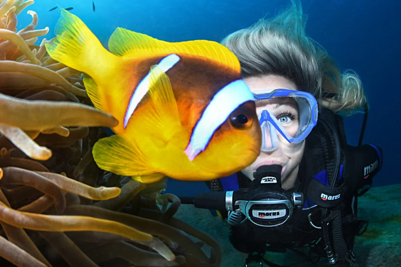 Tropical reef fish