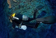 Independent Diving Course Independent diving