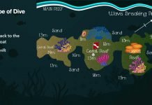 Dzinani Dive Site- Diani