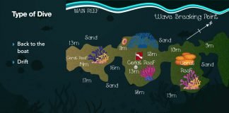 Dzinani Dive Site- Diani