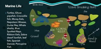 Galu Dive Site- Diani