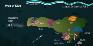 Igloo Dive Site- Diani