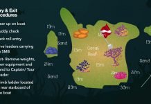 Kinondo Dive Site- Diani