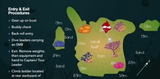 Kinondo Dive Site- Diani