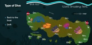 Kisima Mungu Dive Site- Diani