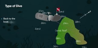 Wreck Dive Site Diani- MV Alpha Funguo