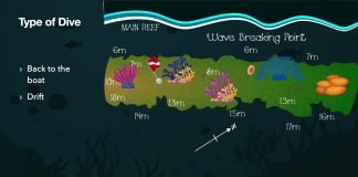 Mwanyaza Dive Site- Diani