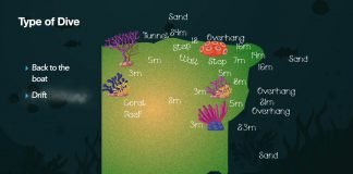 Tiwi Wall Dive Site- Diani