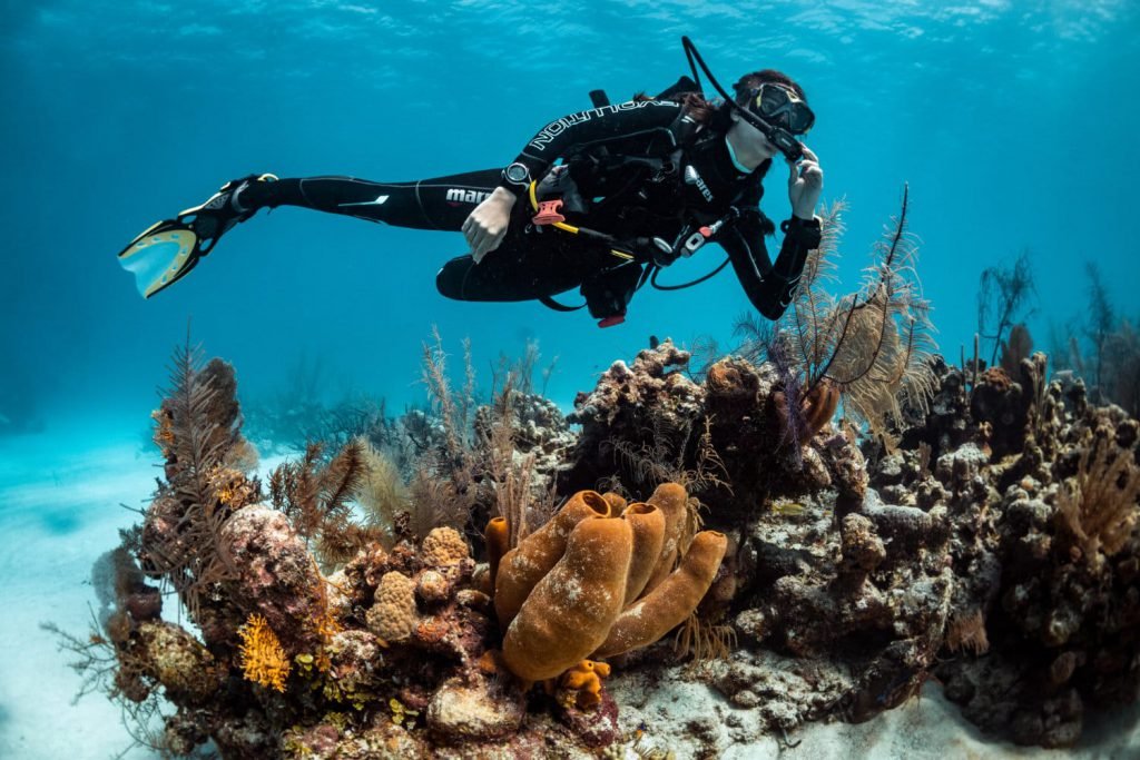 perfect buoyancy course