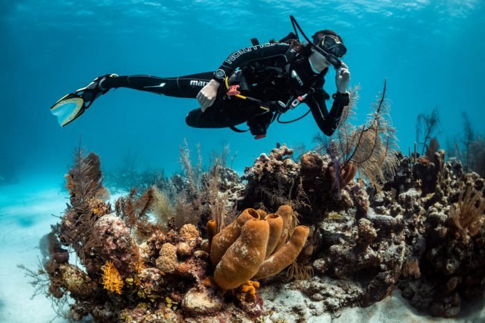perfect buoyancy course