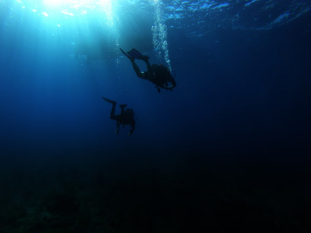 Dive booking terms and conditions