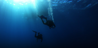 Terms & Conditions Dive booking terms and conditions