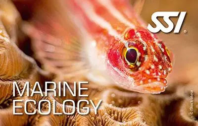 Marine Ecology Specialty