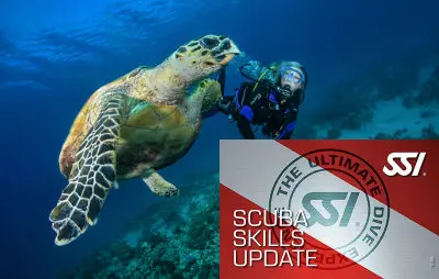Diani dive trip with scuba skills update