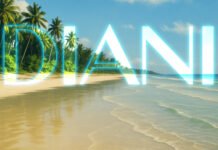 Diani Beach FAQs – Everything You Need to Know Before You Go Diani Beach Kenya