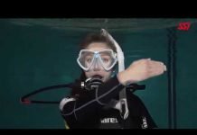 Fully Flooded Mask- SSI Skills Circuit